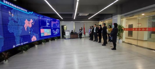 蔡佳麗副區長率隊赴上海開展區塊鏈技術招商考察，助力區域數字經濟發展